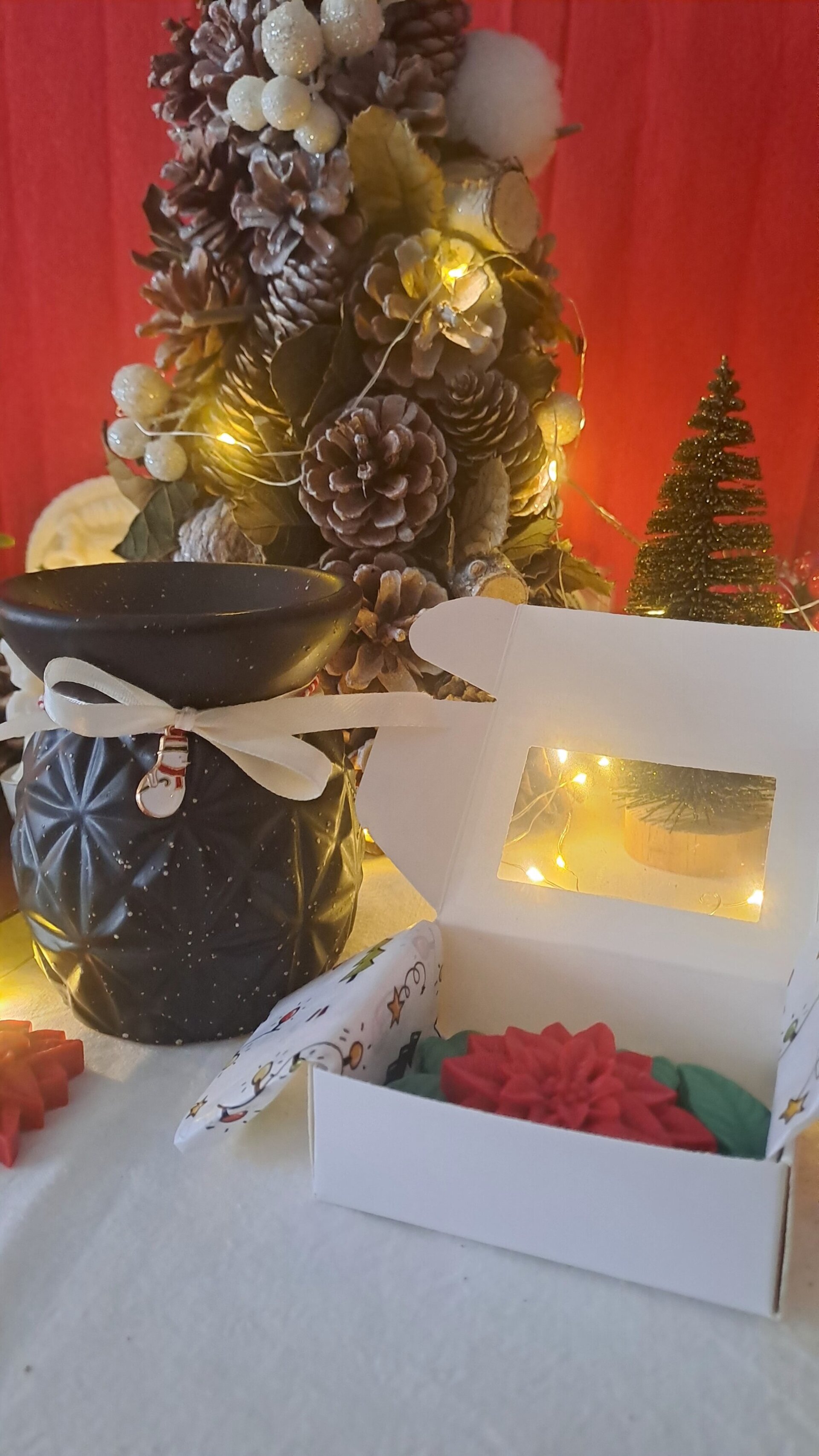 Pack Quemador ( muñeco nieve) + Wax Melts - 1