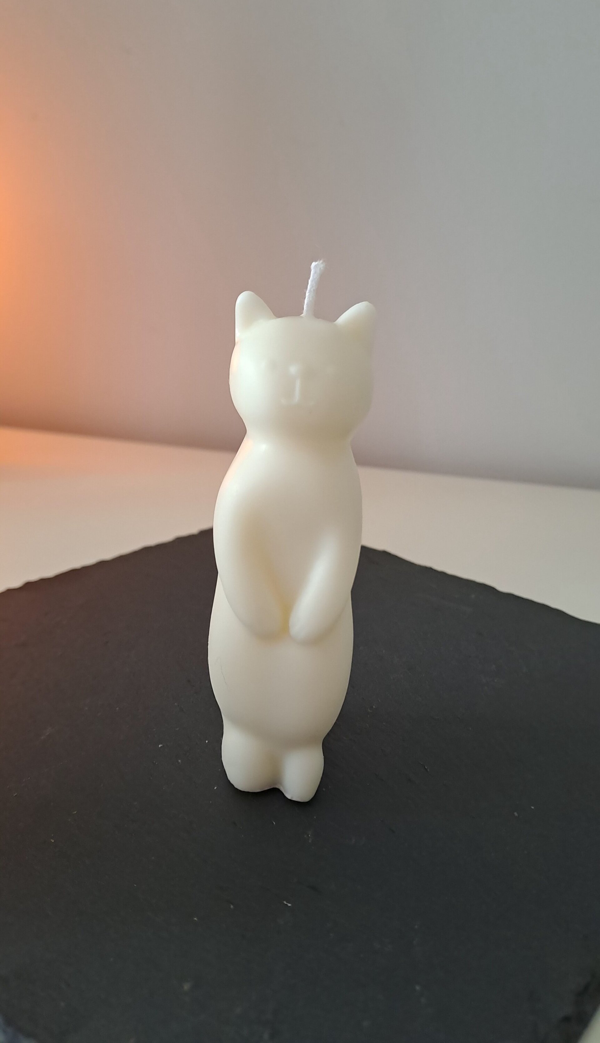 Vela gato - 2