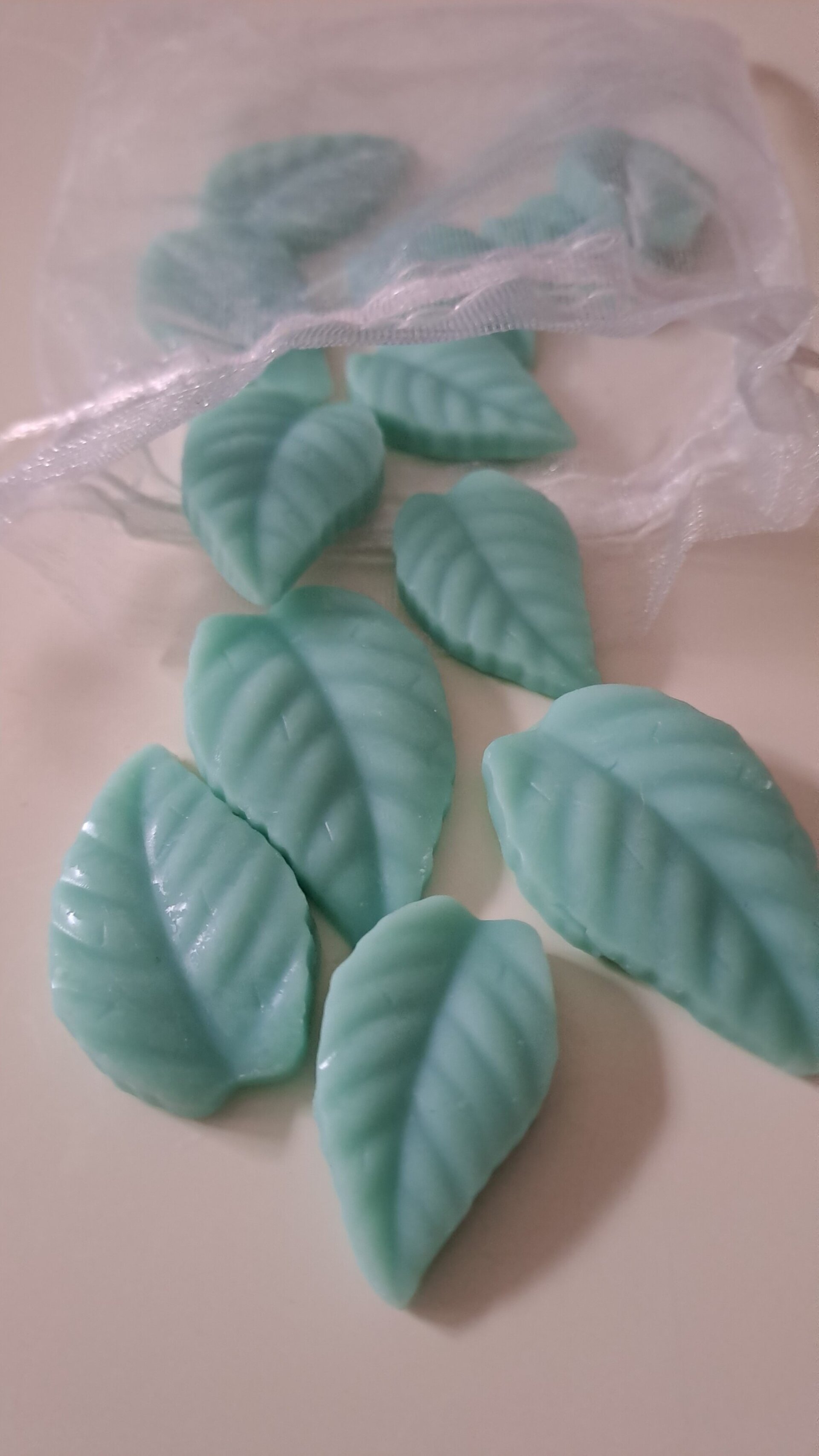 Wax Melts-Bosque Fresco ( 30 gr ) - 2