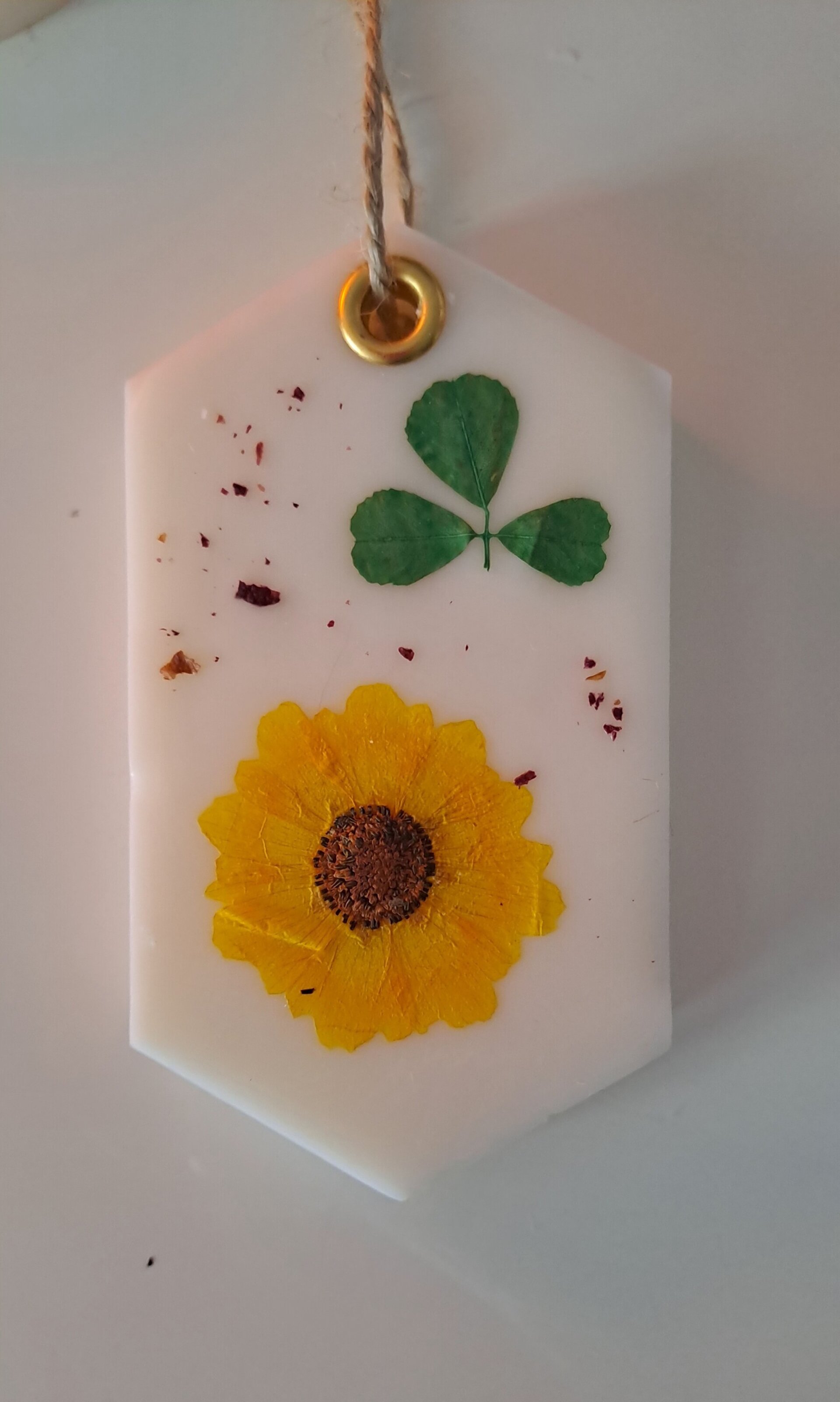 Ambientador-Flor de Algodón - 4