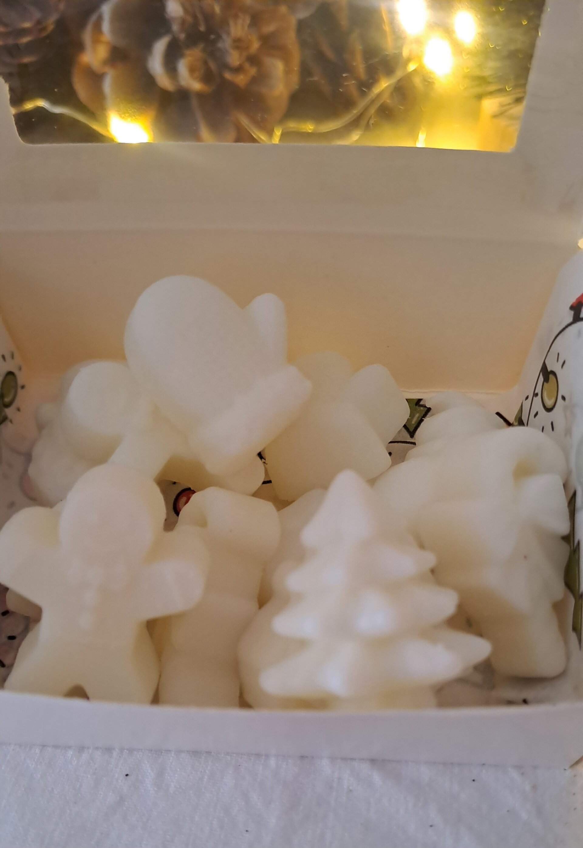 Wax Melts  ( 50 gr ) - 2