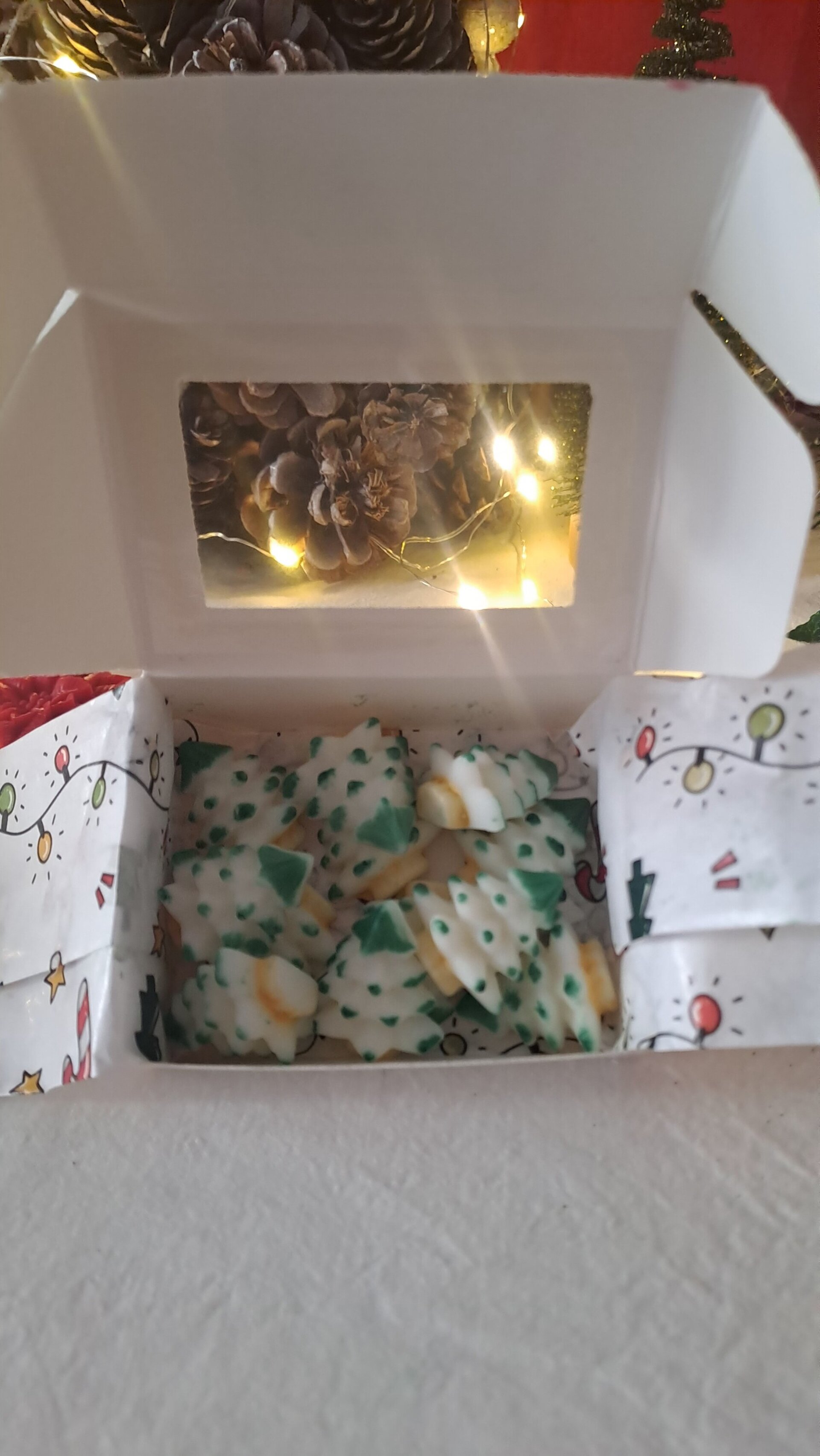 Pack Quemador (muñeco luna) + Wax Melts - 3