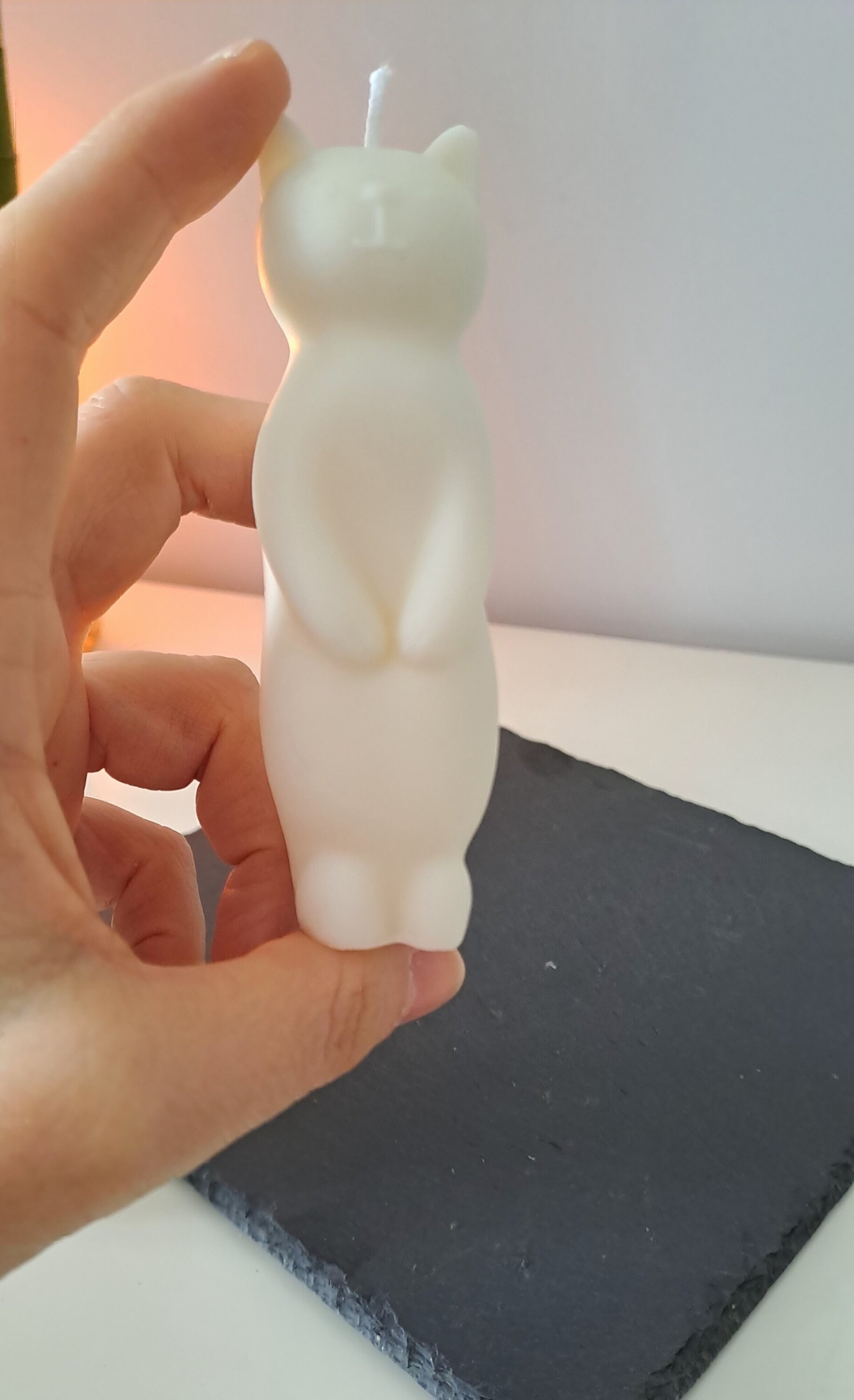 Vela gato - 3